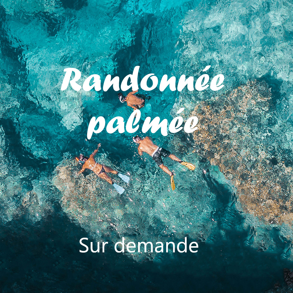 Mon image