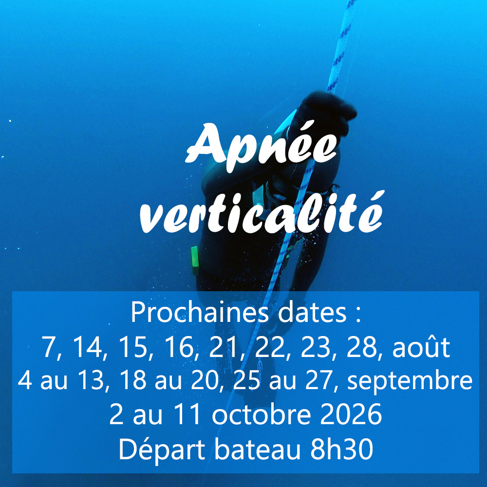 Mon image